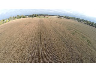 Property photo 6 - Southern Michigan Land Auction - 2 Auctions in 1 - 229+/- Acres and 66+/- Acres